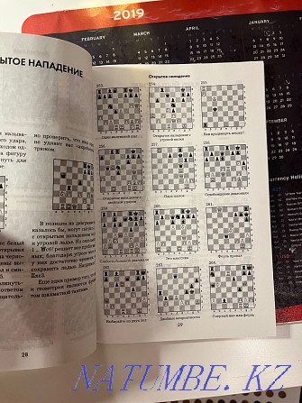 有国际象棋问题的书 Алматы - photo 2