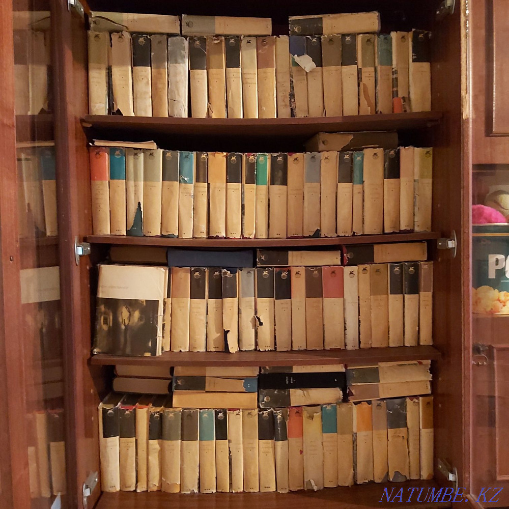 Библиотека Всемирной Литературы Усть-Каменогорск - изображение 1