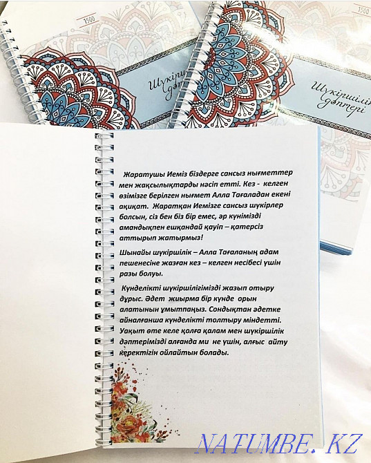 ELECTRONDS T?RDE "Sh?kirshilik" d?pteri  - photo 2