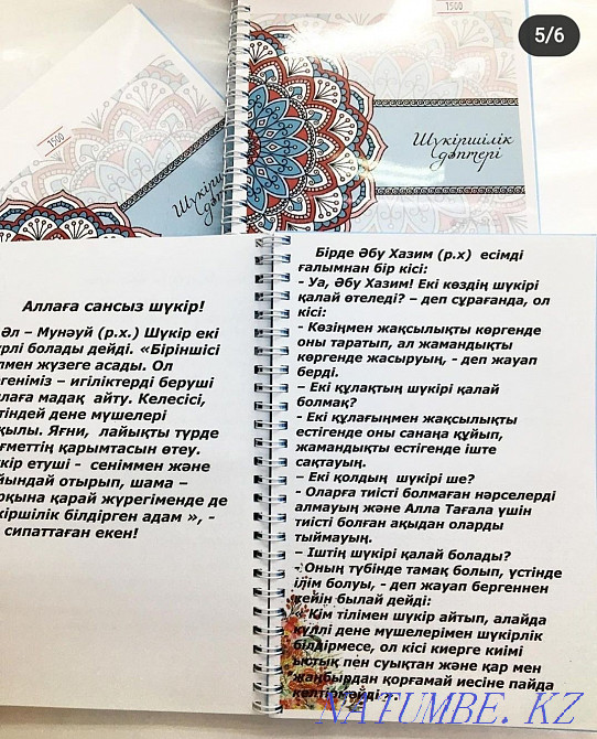 ELECTRONDS T?RDE "Sh?kirshilik" d?pteri  - photo 5