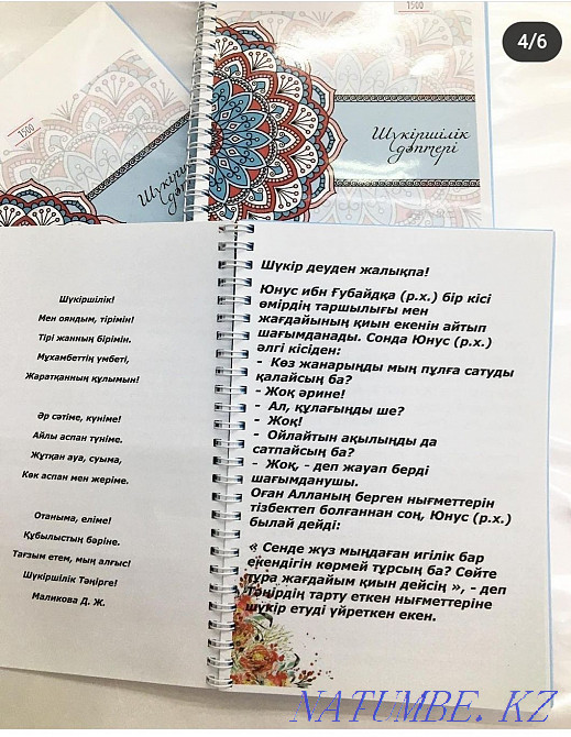 ELECTRONDS T?RDE "Sh?kirshilik" d?pteri  - photo 4