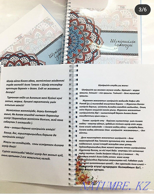 ELECTRONDS T?RDE "Sh?kirshilik" d?pteri  - photo 3