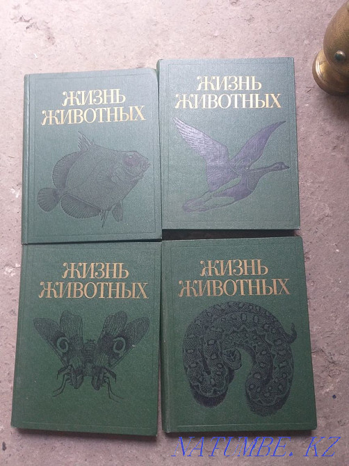 Encyclopedia old rare ussr Almaty - photo 7