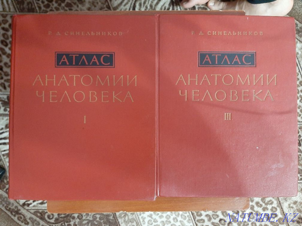 Анатомия человека комплекты Синельников адам анатомиясы Астана - изображение 1