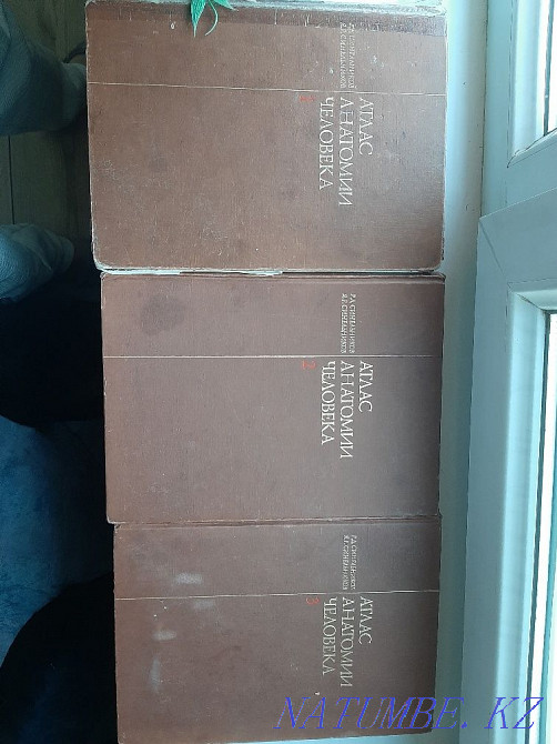 Анатомия человека комплекты Синельников адам анатомиясы Астана - изображение 2