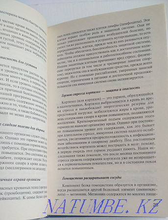 The book "Lazy and live long". Maykuduk Karagandy - photo 3