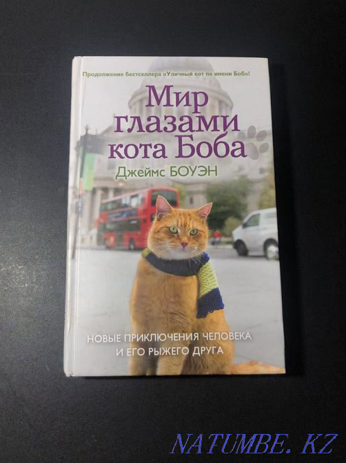 The World Through the Eyes of Bob the Cat by James Bowen Almaty - photo 1