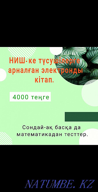 NISH-ke arnalgan mathematican, English men Cossack tilinen test zhinak Taraz - photo 3