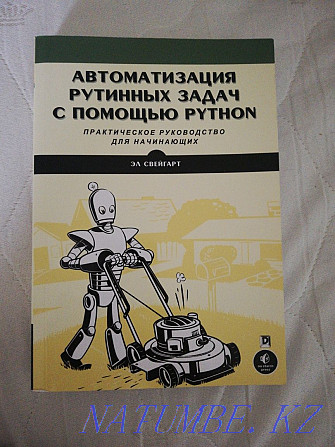 Бағдарламалау кітабы  - изображение 1