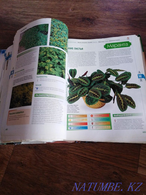 Sell book binders  - photo 8