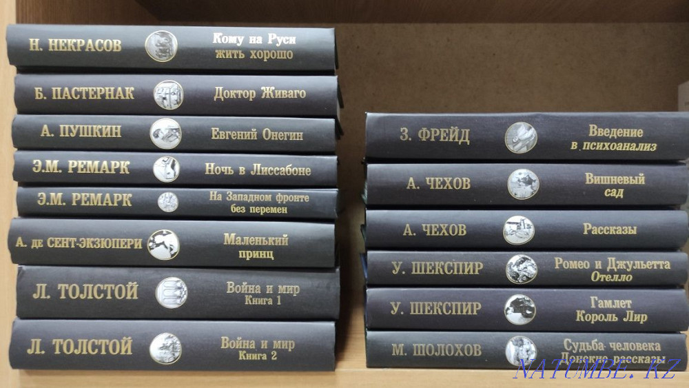 Әлемдік классиканың жауһарлары. Дүкен Жанар, Халықаралық 77.  Петропавл - изображение 5
