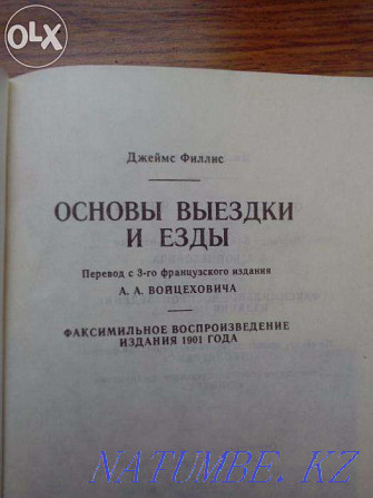 Основы выездки и езды Алматы - изображение 2