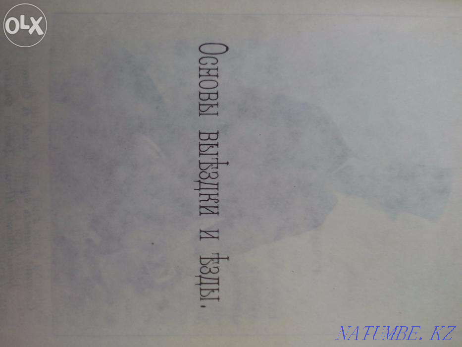 Basic dressage and riding Almaty - photo 7