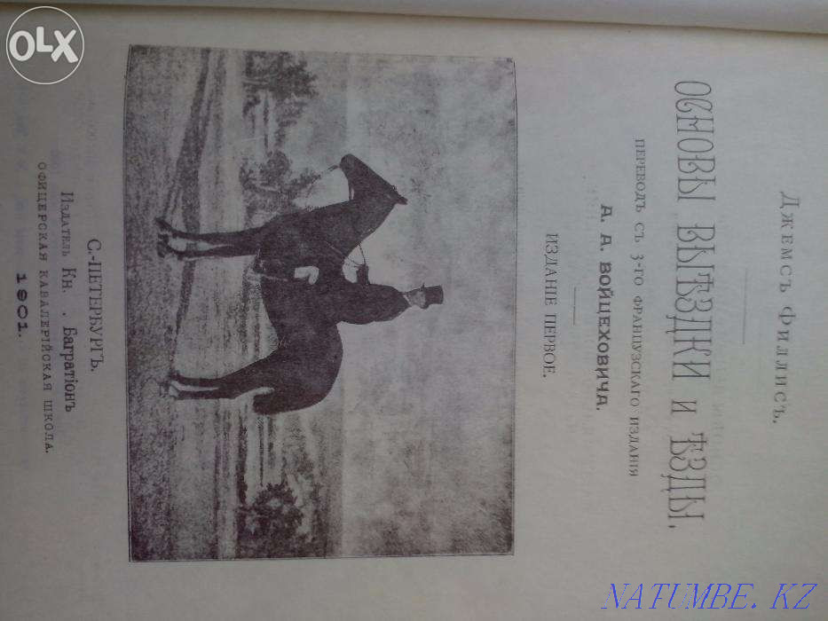 Basic dressage and riding Almaty - photo 5