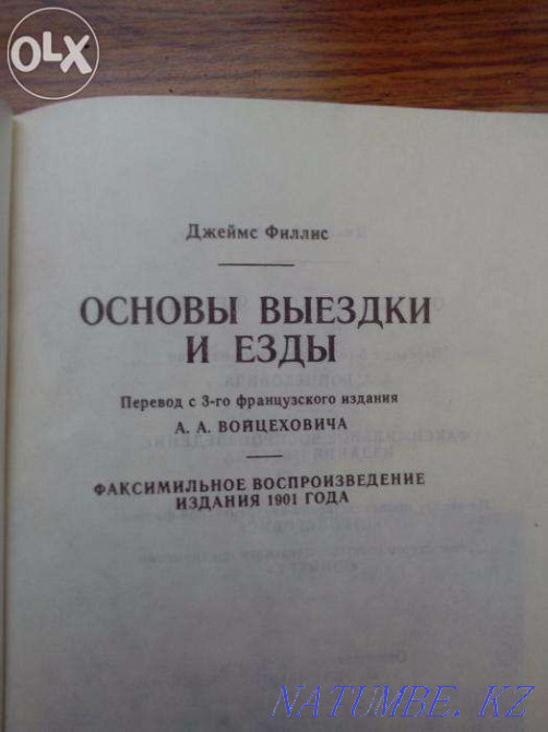 Basic dressage and riding Almaty - photo 2