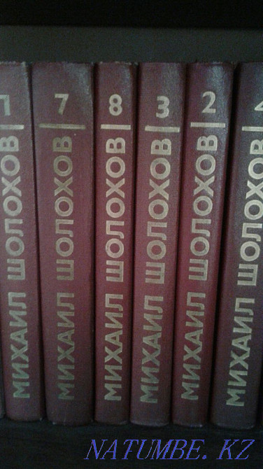 Жинақ шығармалары (Шолохов, Леской, Салтыков-Щедрин)  отбасы  - изображение 1