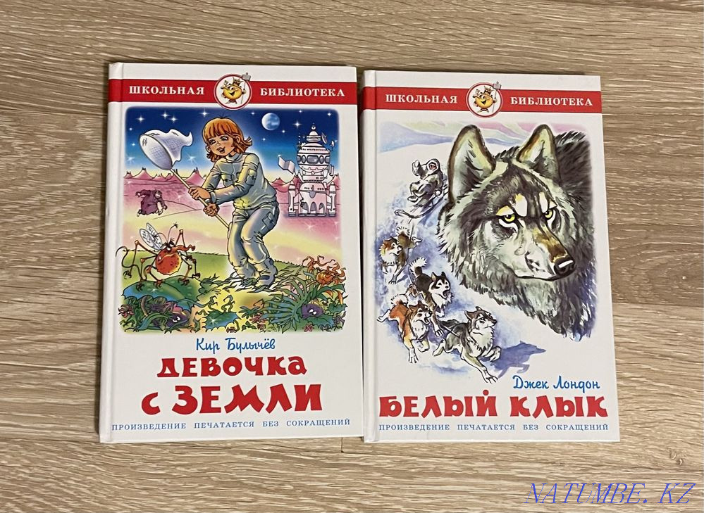 Books for every taste Shymkent - photo 7