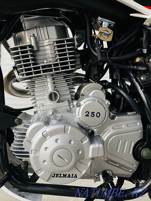 Jelmaia 250cc M20 Atyrau - photo 5