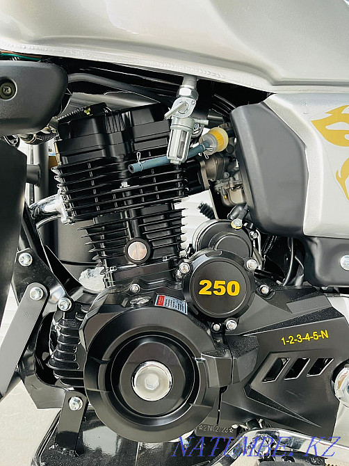 Jelmaia 250cc M20 Atyrau - photo 3