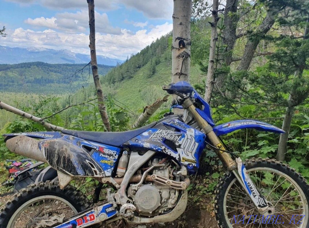 Yamaha wr450f 2007