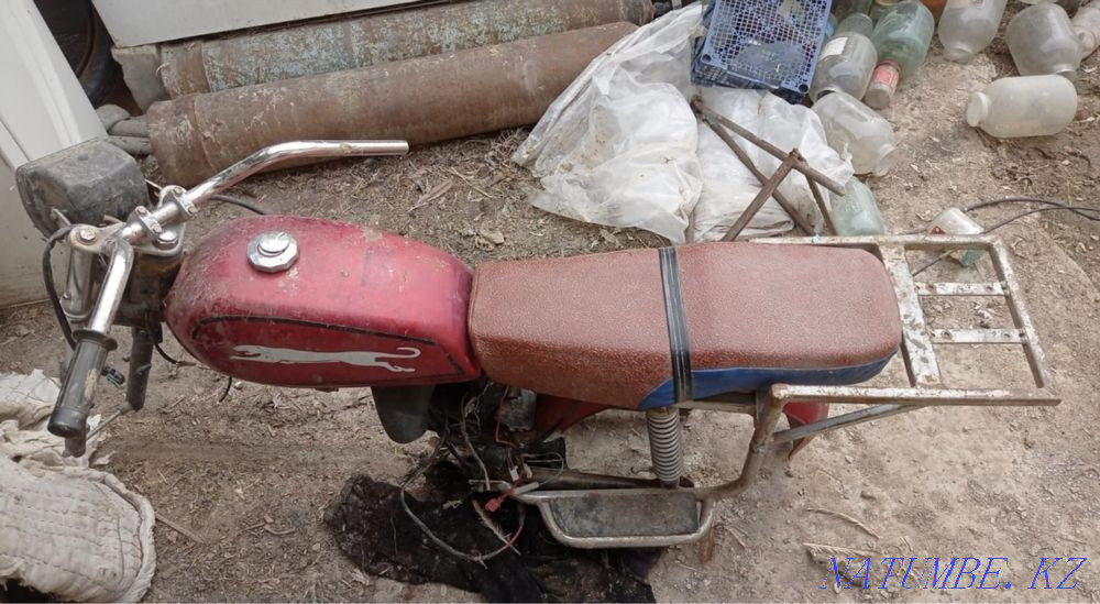 Peda alpha Almaty - photo 1