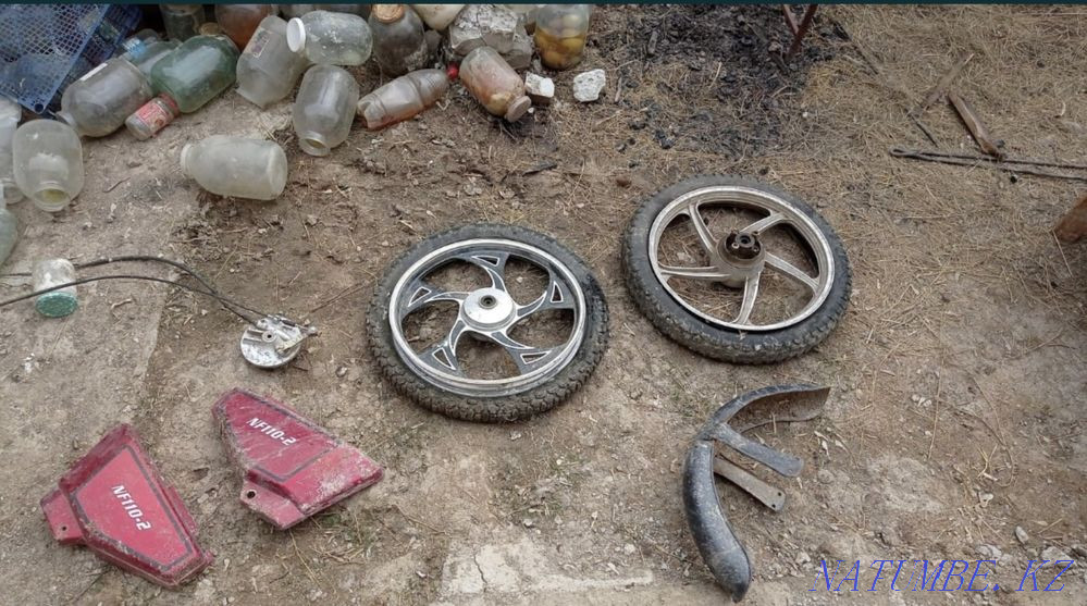 Peda alpha Almaty - photo 2