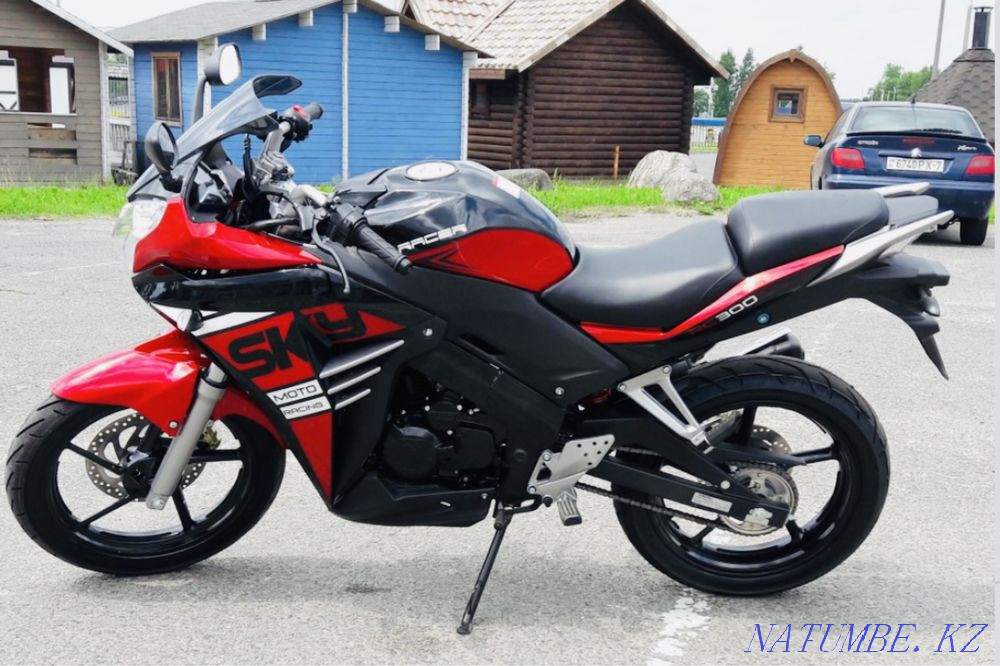 Рейсер скайвей 300  - изображение 1