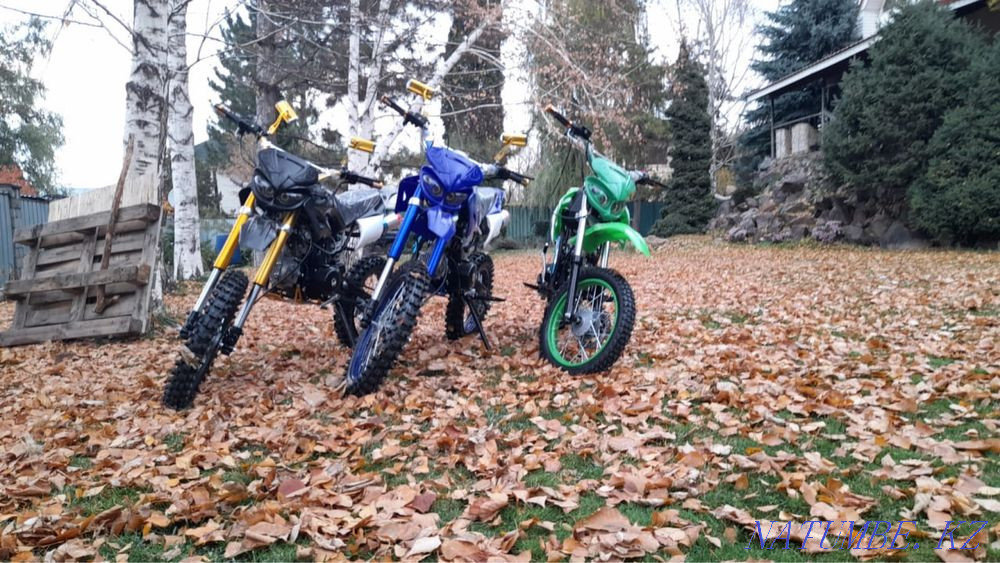 Pit bike zs 125 r Almaty - photo 3