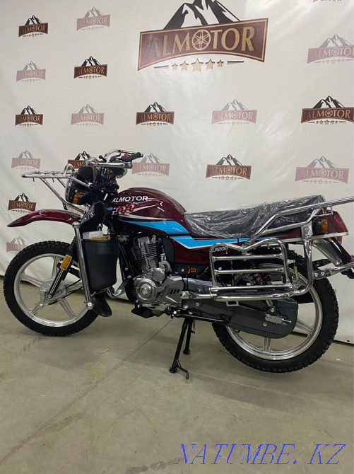 ALMATOR 125/150/200/250/300cc Almaty - photo 5