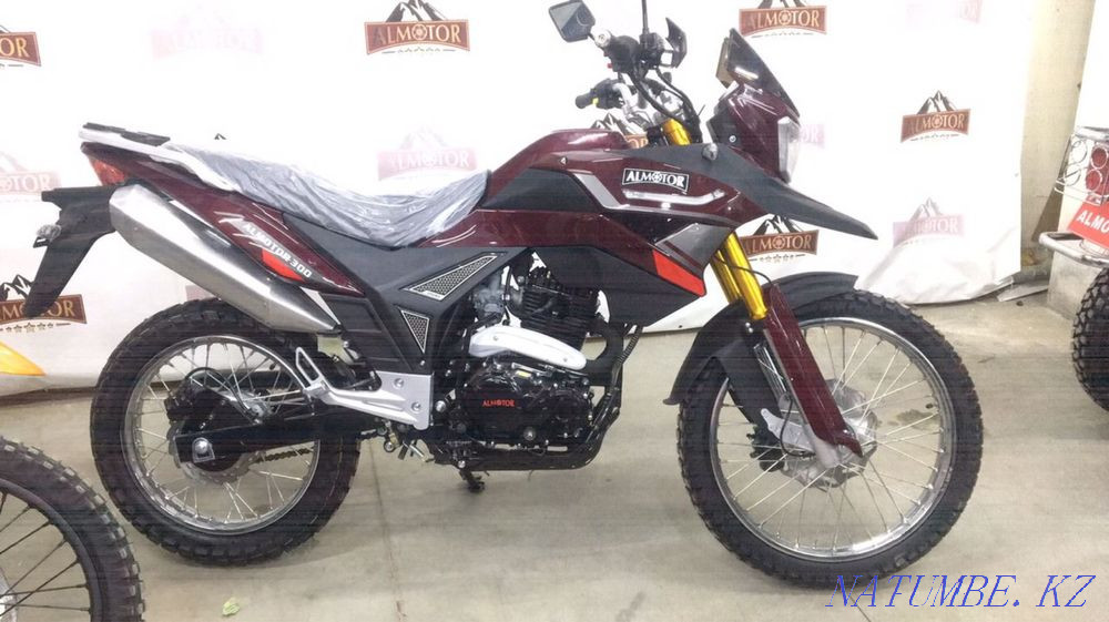 ALMATOR 125/150/200/250/300cc Almaty - photo 8