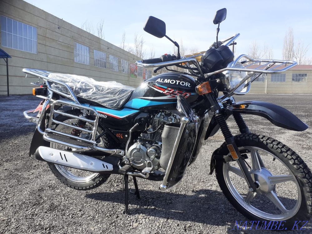 ALMATOR 125/150/200/250/300cc Almaty - photo 2