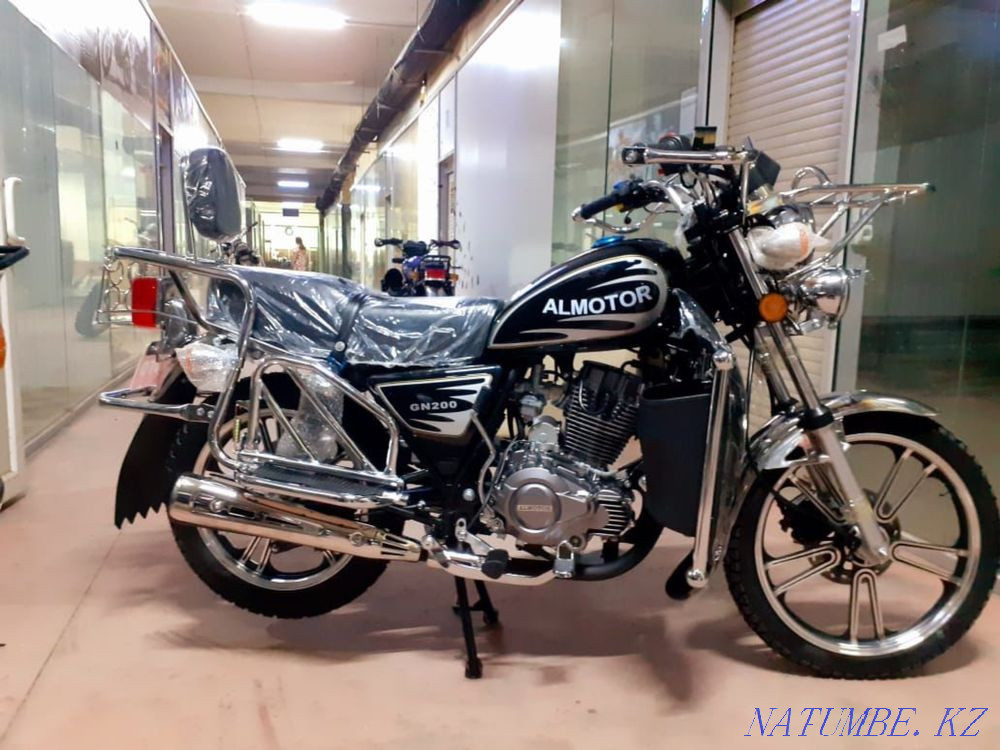 ALMATOR 125/150/200/250/300cc Almaty - photo 7