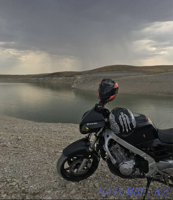 Honda cbr 600 f2  - photo 7