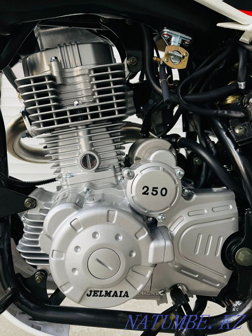 jelmaia250cc m20  - photo 4