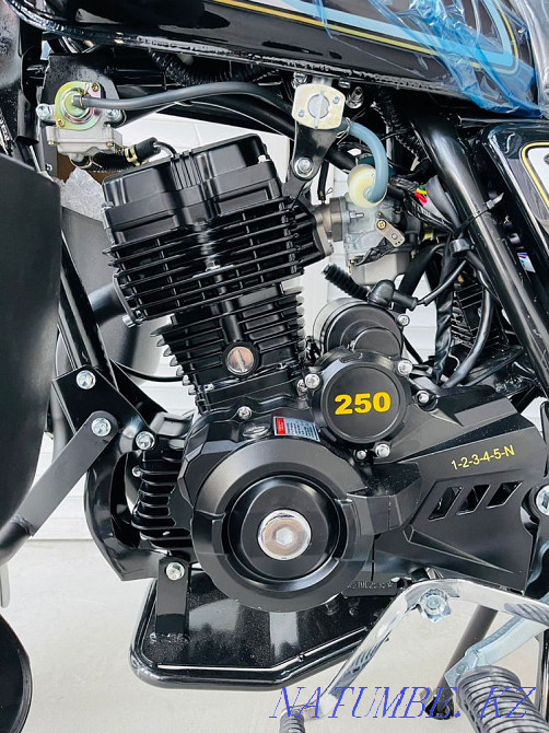 jelmaia250cct18  - photo 6