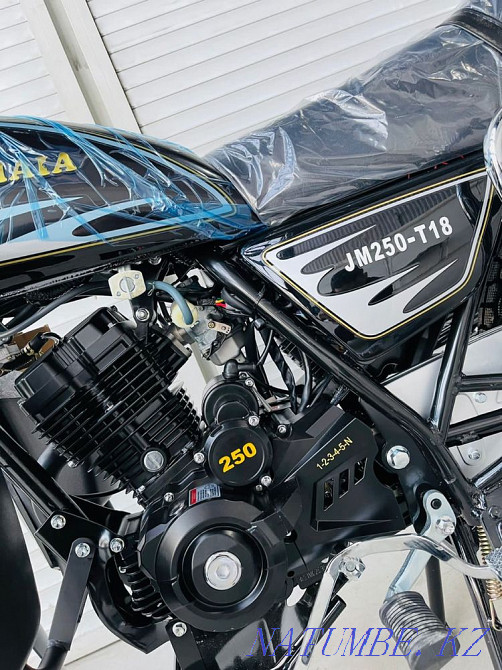 jelmaia250cct18  - photo 1