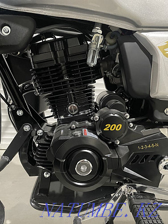 Мотоцикл Желмая 150/200/250 куб Тараз - изображение 5