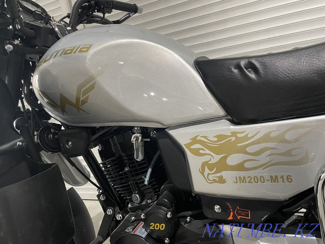 Мотоцикл Желмая 150/200/250 см  Тараз  - изображение 4