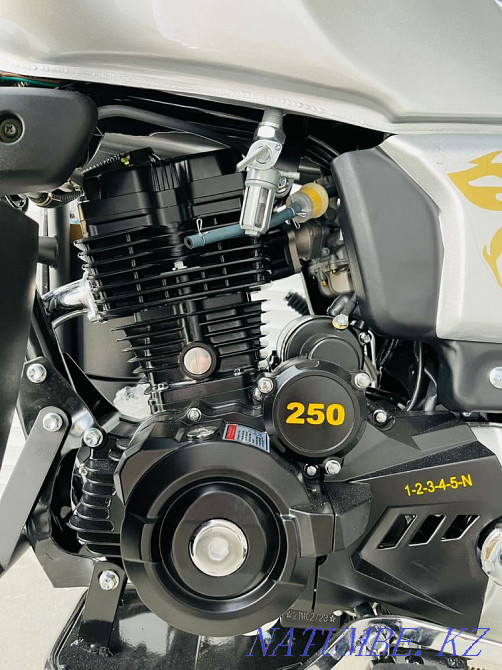 Jelmaia 250cc M17 Жезказган - изображение 3
