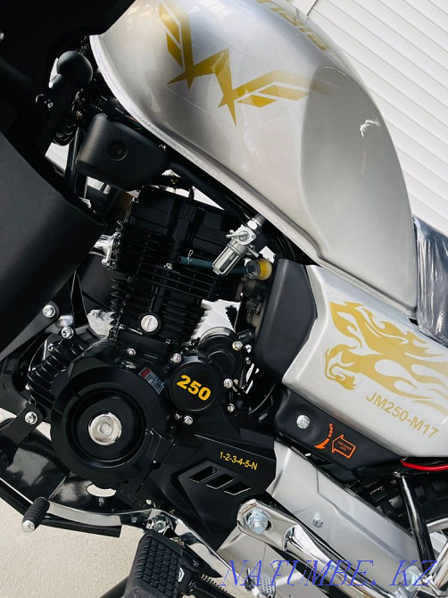 Jelmaia 250cc M 17 Zhezqazghan - photo 4