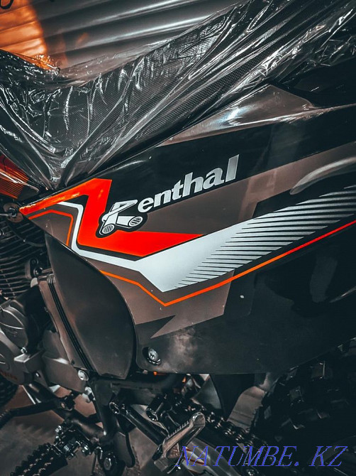 FMZ мотоцикл 250 Караганда - изображение 7