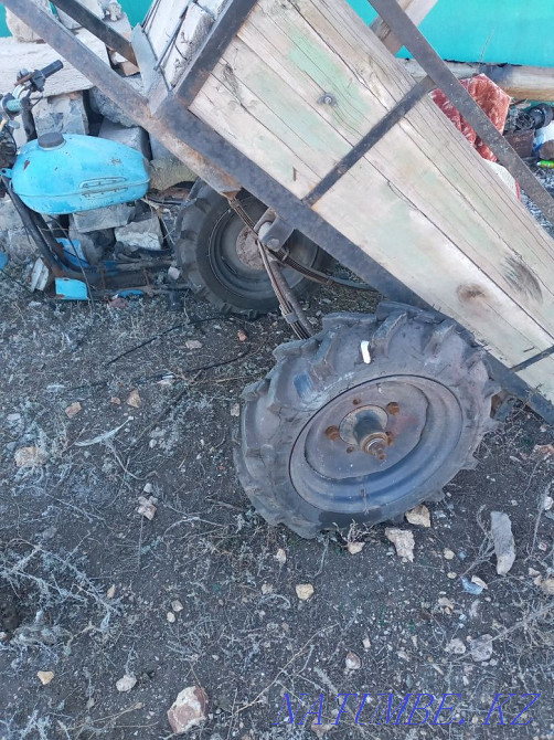 Продажа или обмен на скот  - изображение 8