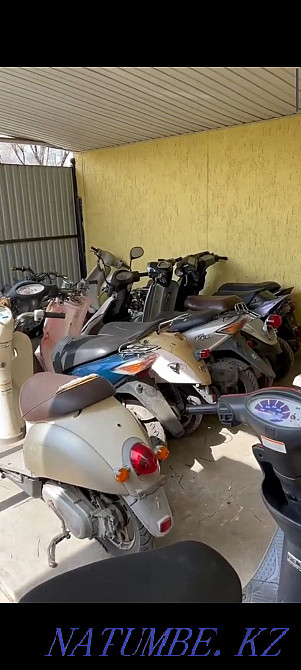 Ready business Moped Motorcycle Wholesale Almaty Almaty - photo 1