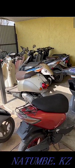 Ready business Moped Motorcycle Wholesale Almaty Almaty - photo 5