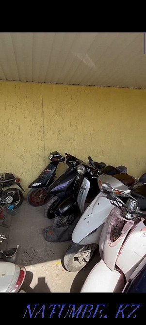 Ready business Moped Motorcycle Wholesale Almaty Almaty - photo 2