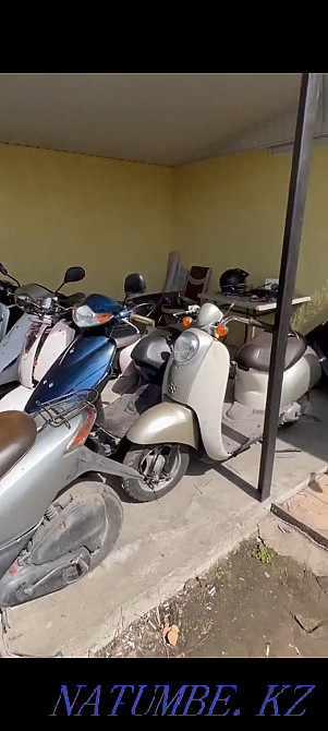 Ready business Moped Motorcycle Wholesale Almaty Almaty - photo 3