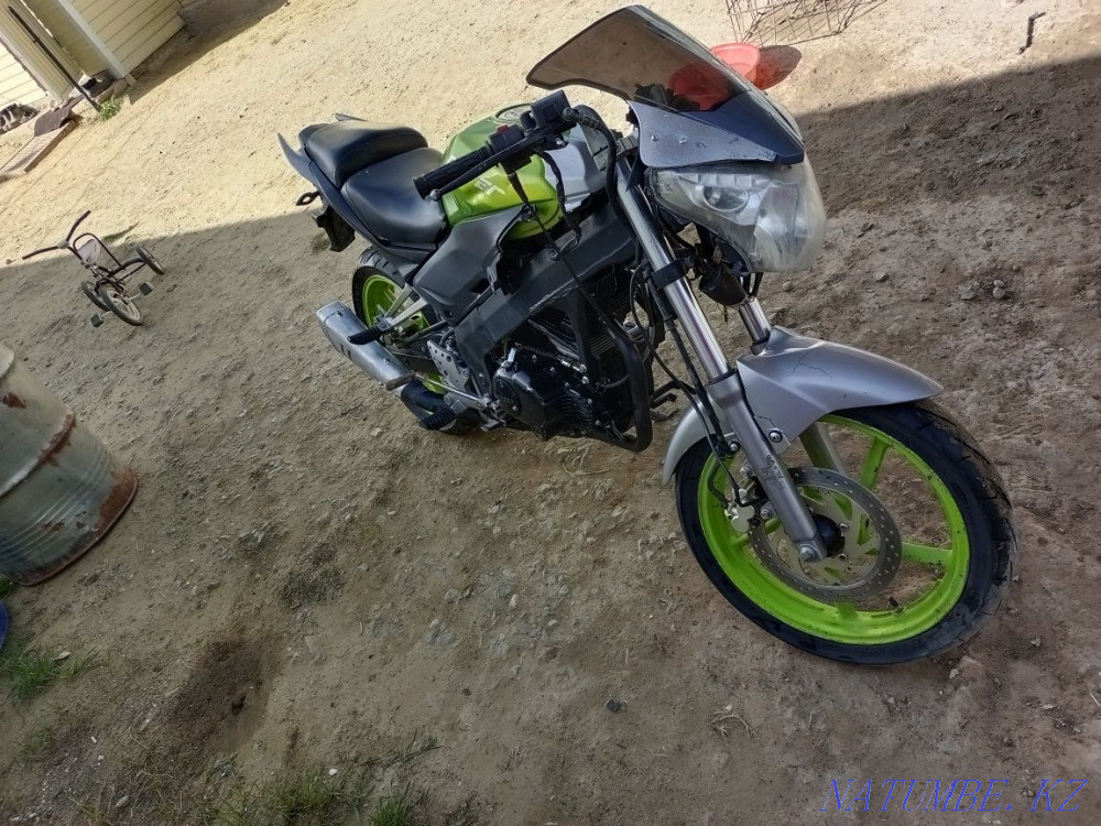 рейсер скайвей 250  - изображение 2