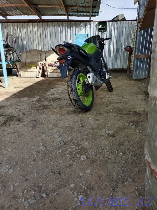 рейсер скайвей 250  - изображение 4