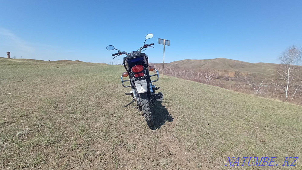 Рейсер Альфа 110сс  - изображение 4