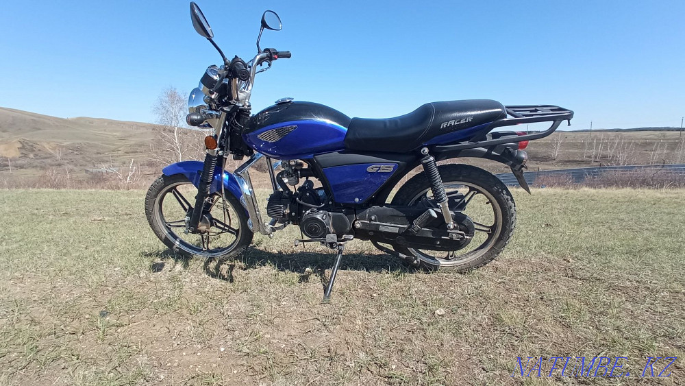 Рейсер Альфа 110сс  - изображение 2